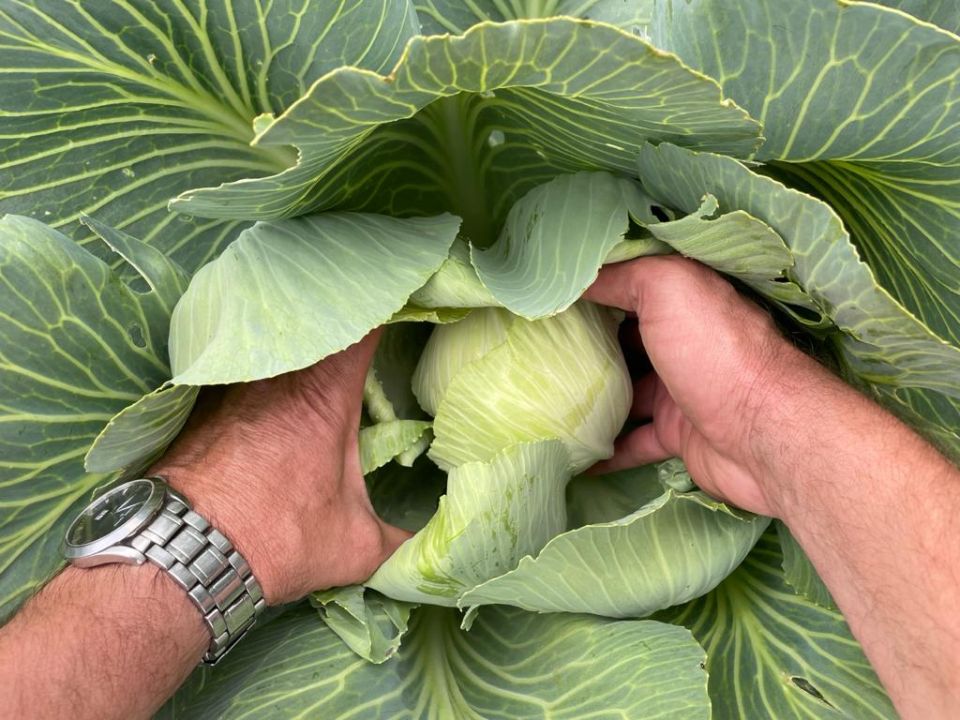 � 2026 ���� �� ��������������� ��������� �������� ��������� ��������� � ������������� ������ �������������������� ���������, ����� � �������������� ���������� ������� �������� ����� ������������ ������ ��������� ������...