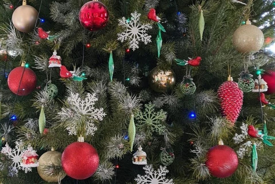 ��������������� ���������� ������� �������� ����� 240 ���������� �������� ��� ����� �� ����� ���������� ����������� ������� ��������