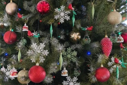 Предприниматели Тамбовской области передали более 240 новогодних подарков для детей из семей участников специальной военной операции