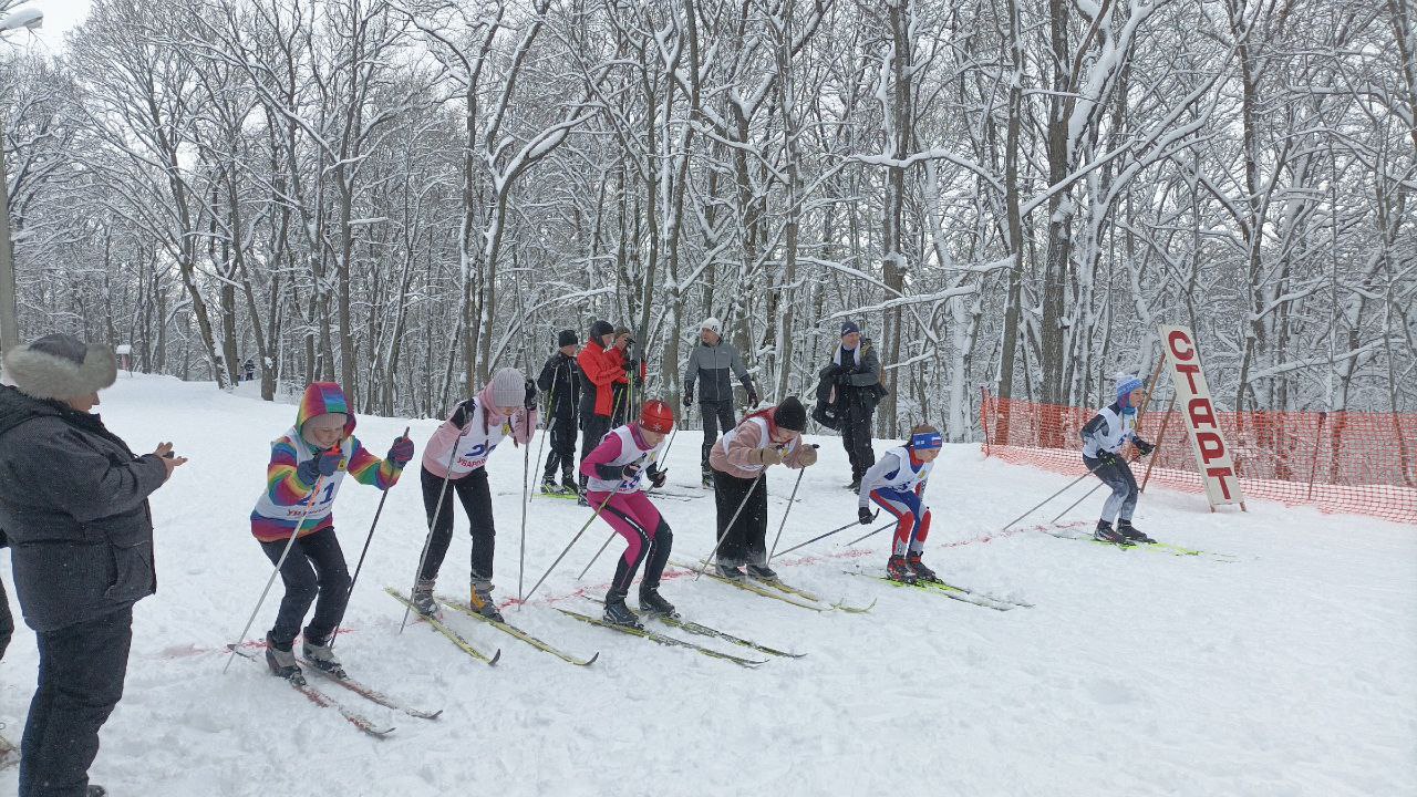 Более 100 лыжников Тамбовской области поучаствовали в рождественской лыжной гонке (6+) Более 100 лыжников Тамбовской области поучаствовали в рождественской лыжной гонке (6+)