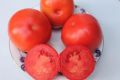 Томаты с характером: сорт «Мисс Америка» завоевывает популярность у дачников