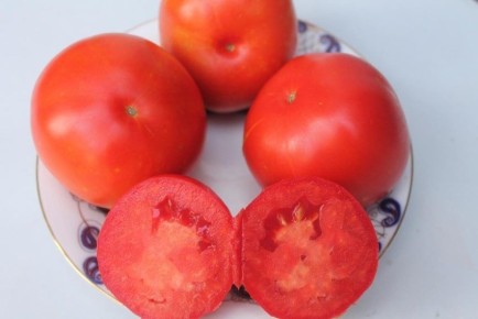 Томаты с характером: сорт «Мисс Америка» завоевывает популярность у дачников