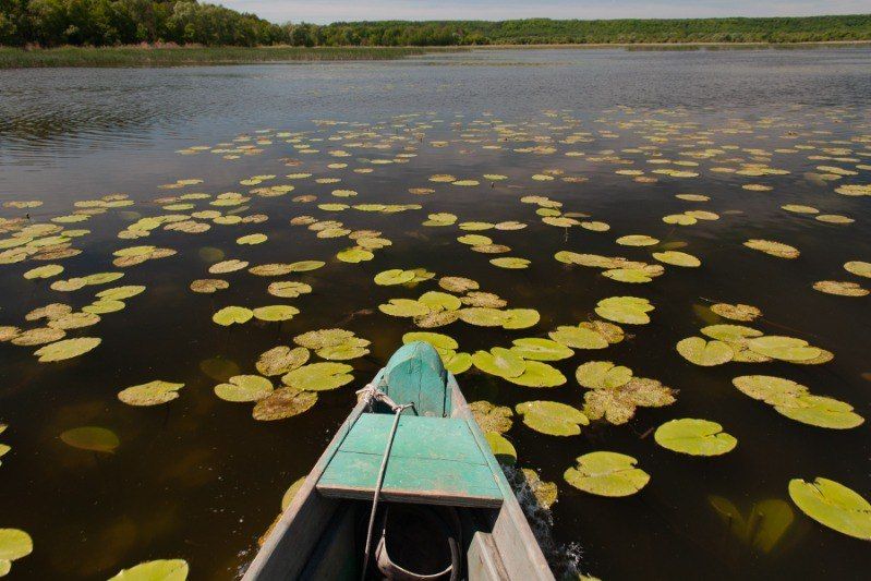 � ���������� ������� ����� ����� ������� ������� �� ��������� �����������