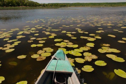 В Тамбовской области ввели новые правила туризма на природных территориях