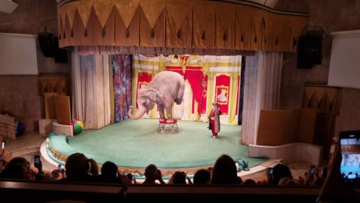 8 января 1912 года в Москве был открыт театр зверей «Уголок дедушки Дурова»