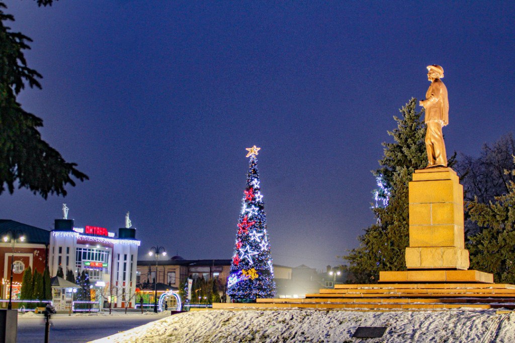 Три ёлки Тамбовской области представят регион на всероссийском конкурсе (12+) Три ёлки Тамбовской области представят регион на всероссийском конкурсе (12+)