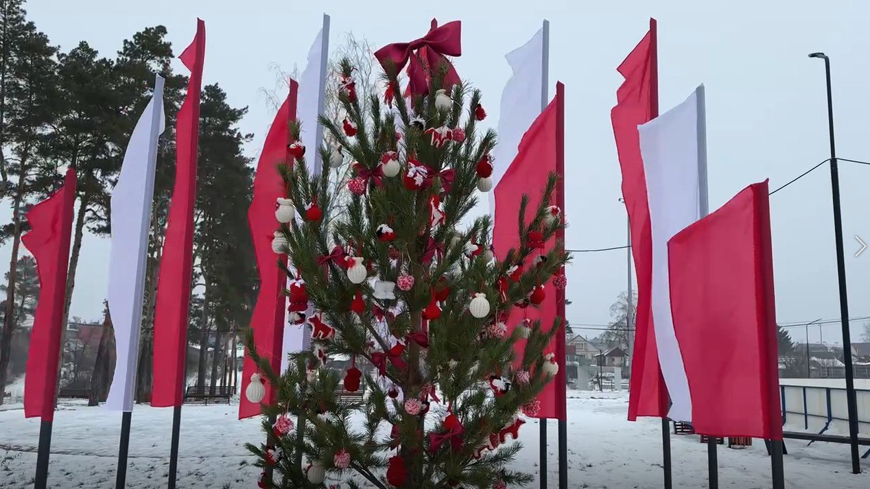 Три ёлки Тамбовской области представят регион на всероссийском конкурсе (12+) Три ёлки Тамбовской области представят регион на всероссийском конкурсе (12+)