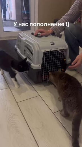 ���� �������� � ������� ��������� ����� ����� �����