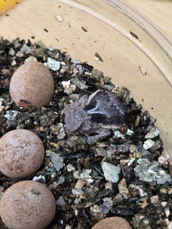 � ���������� ����������� �������� �� ���� ��������� ������ ���������� ������� �������