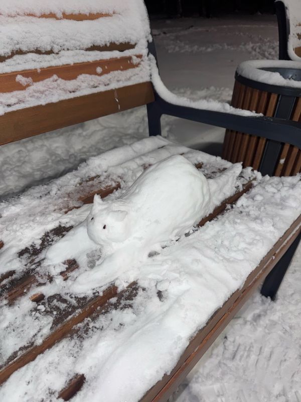 ��� ����� �������������� ����������� ������� ������ �������