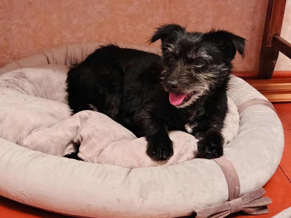 ���� �����: ������� ������