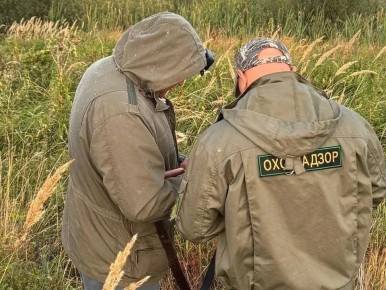 � 2025 ���� ������������ �������� � ��������� �������� ���������� ������� ������ 746 ���������� �������