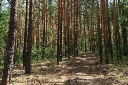 � ���������� ������� ������� ����������� �����, ������ � �������