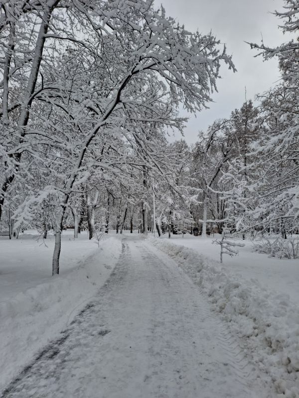 ����������� ���������� ����