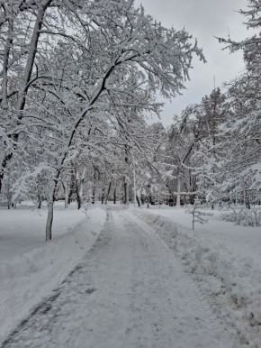 ����������� ���������� ����