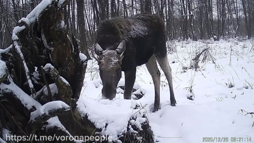 ��� ����� ��������. � �� �� ������� �������� ����������� �������� � ��� ��� ���������� �����, ��� �� ���� ����� ����������� �� ��������