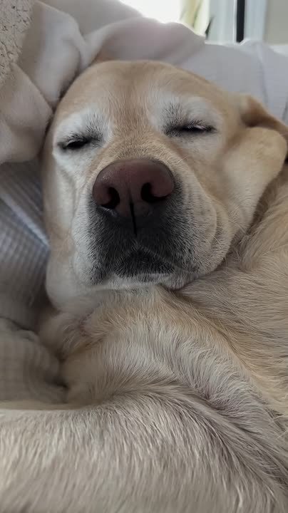 Отсыпаемся перед первой рабочей неделей года