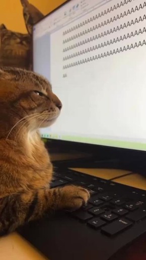 ������ ������� ���� ����� ������� ���������� �������