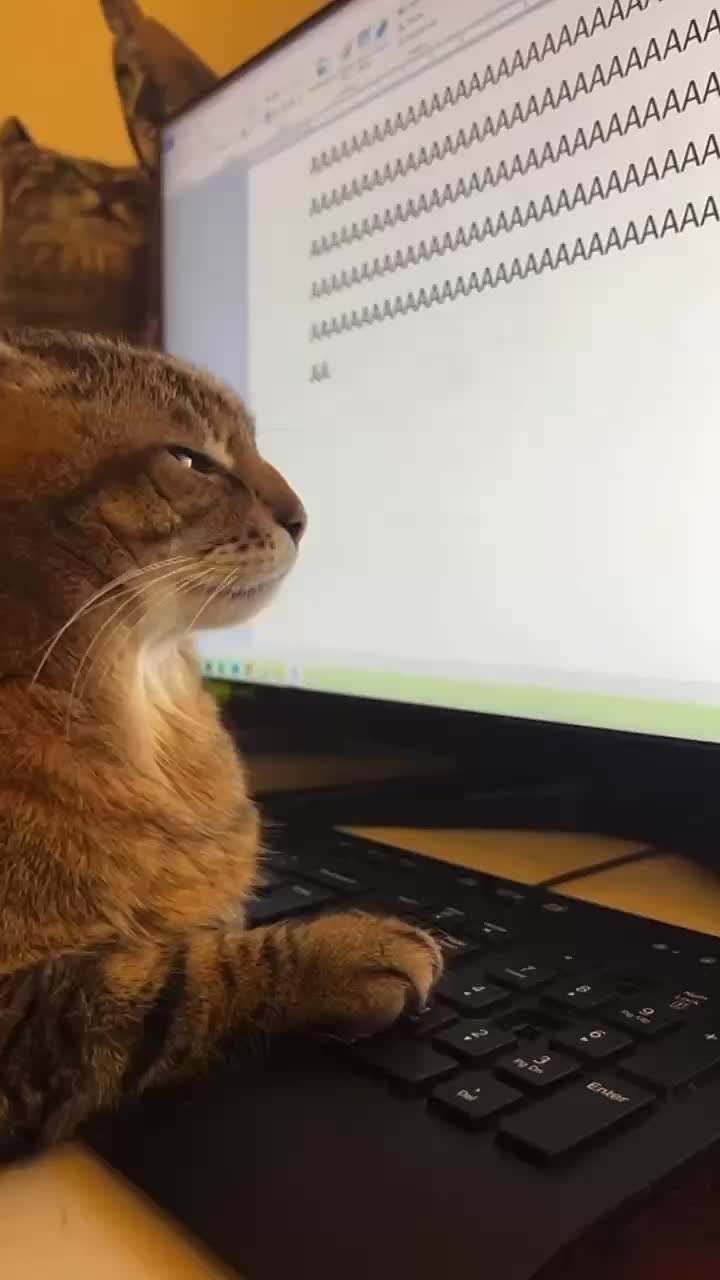 Первый рабочий день после длинных новогодних каникул