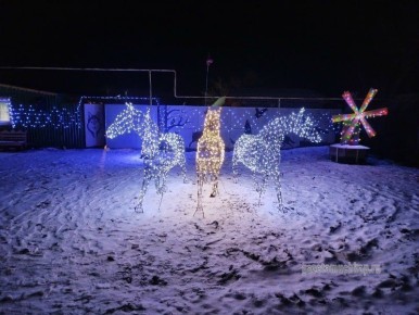 ������ �� ���������� ������� ������ �������� ����������� ������� �������