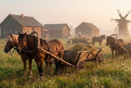 ������� ����������� ����: ������, ������� ������� �����