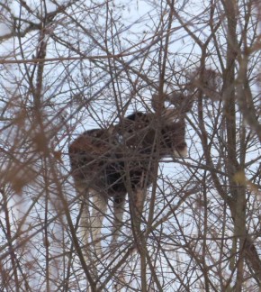 ������������. ��� ����� ��������� ���������� � ������ ����