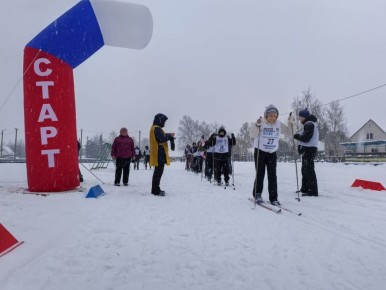 С 14 по 16 января в Тамбовской области проходит региональный этап одних из самых массовых и престижных спортивных соревнований для школьников страны — зимних Президентских состязаний