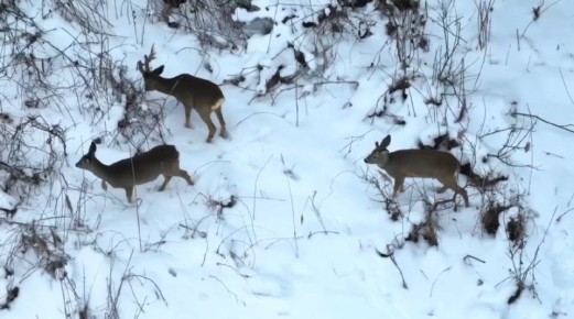 � ���������� ��������� ��������������� �������������� ��������� � ������������ ������� ������� ����� 80 ������ � ���������� ������� ���������� �������