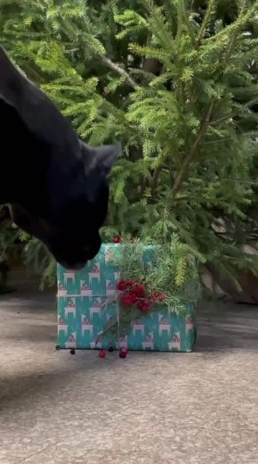 Пошуршать подарками приятно всем