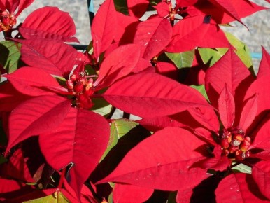 �������������� ������: ������� � ��������� ��� �������� ��������