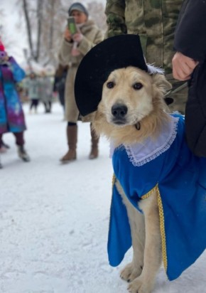 ���� �����: ������� ���� ���