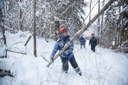 � ���������� ������� ���������� ��������� ������������ ����������������, ���������� ���������