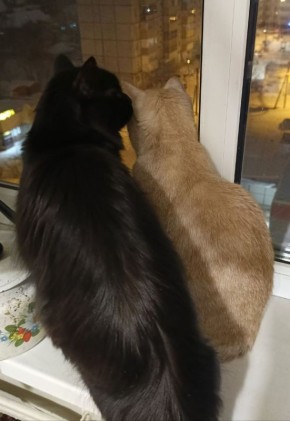 ������� "������ �� ����". ������� ������ �� ���� �������� ������ "���������" �������� ����������