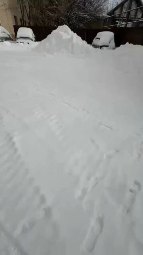 ������� "������ ����" ����� ������� � ������ �� 15 ������