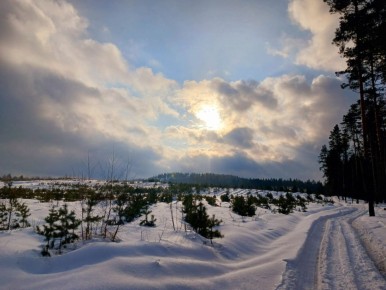 ��������� ����� ����������� �� ���������� �������