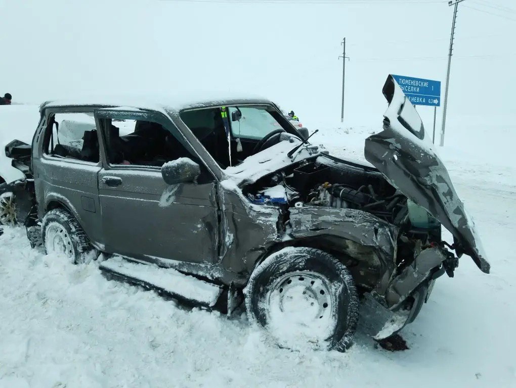 Шестилетняя девочка пострадала при столкновении "Нивы" и грузовика на автодороге «Воронеж-Тамбов»