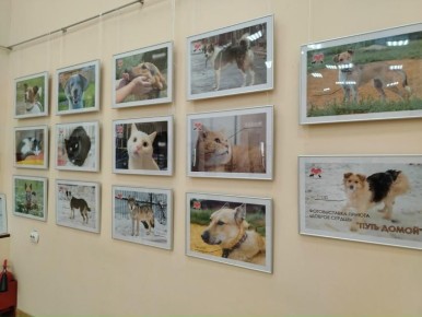 ��� ����: � ��� ���� ������� ������������ ������ ������� ������