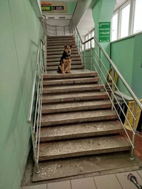 ���� �����: ������ ���� ���