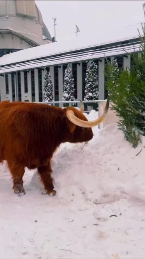 ����� ������� �� ����������� �������� ����� ������� ������� � ����� �������, ����� ����������� ������