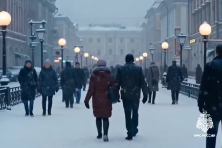 �������� ������ � ������� �����������, ����� � ������������