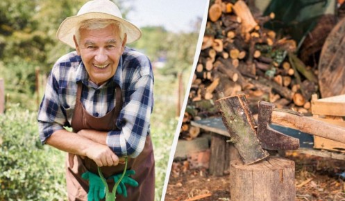 ��� ���������� ��������������� ������� ����� ������� �������� �� ����