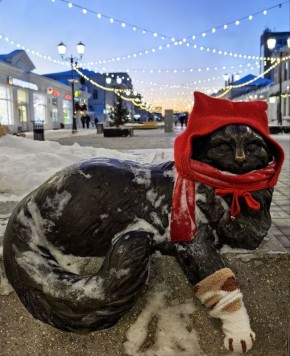 ���������� ��� ������������� ��������� ����� ����������� ��������