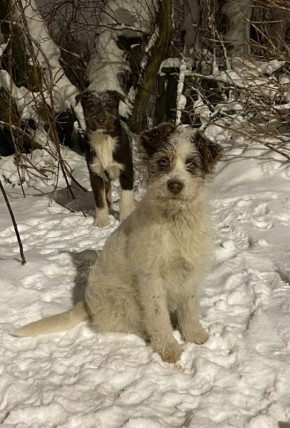 ���� �����: ����� ���� ���