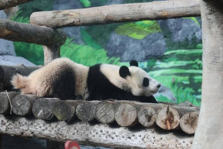 ��� ����� ������ �� ����������� �������� �������� ����� ������