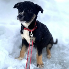 ���� �����: ����� ���� ���