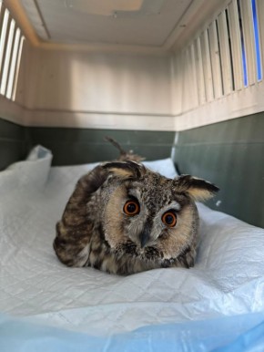 � ����������� ����� ������ ������ ���� ��������� ���� � ������ �������