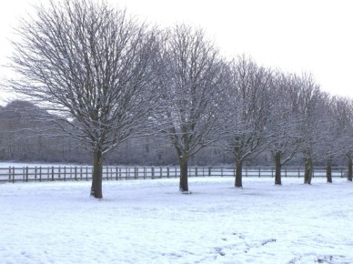 � ���������������� ���������� ������� ������� ������� ������ ������� �������� �� �����