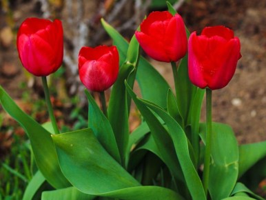 �������� �� ����: ������� �������� ������� ��� ������ �������� ������