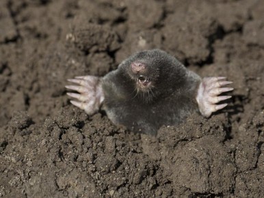 ��� ����� �� ������ ����� ������ ���� ������