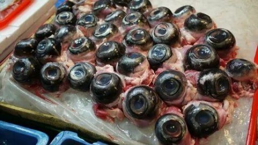 ��������� �����, ������� ����� ����������: ���������������� ������ ������ �������